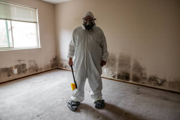 Norwich, NY Mold Remediation Company